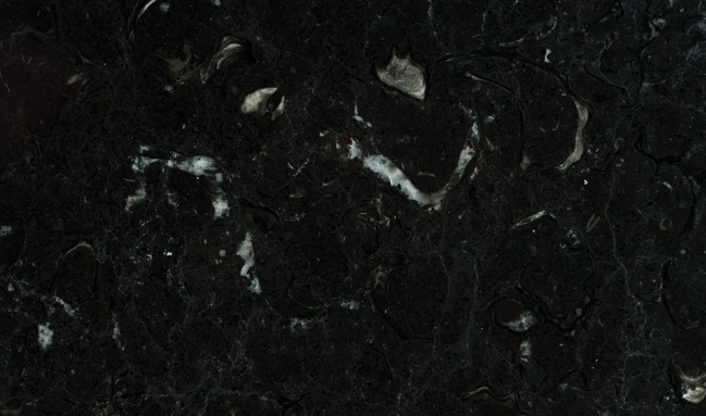 negro caracol
